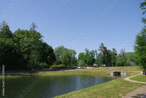 park with a small pond and trees