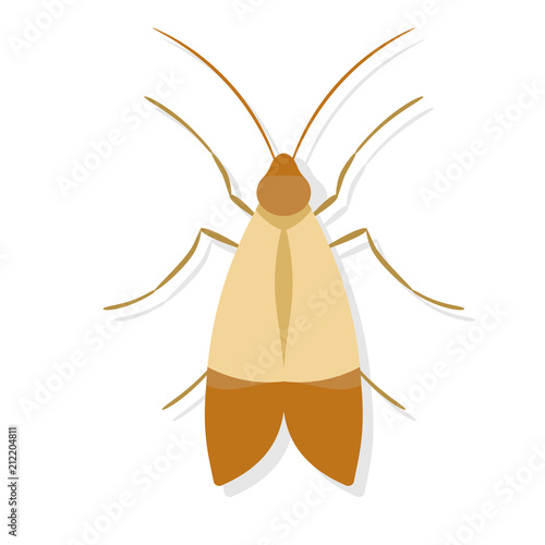 Meal moth icon