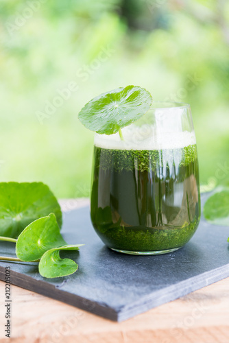 Blended green pennywort , asiatic juice with green background. photo