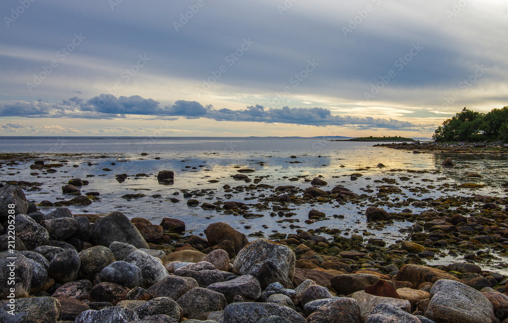 The stones on the bottom of the White sea during low tide on Solovki