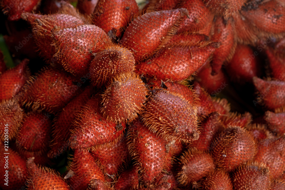 Ripe and Fresh Snakefruit in the Morning Market. Ripe and Fresh Snakefruit in the Morning Market.
