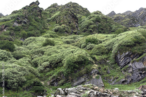 mountain scene