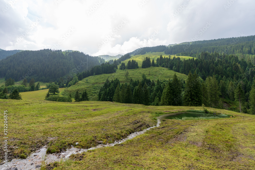 Naklejka premium Kleiner Bach in idylischer Wiesen und Waldlandschaft