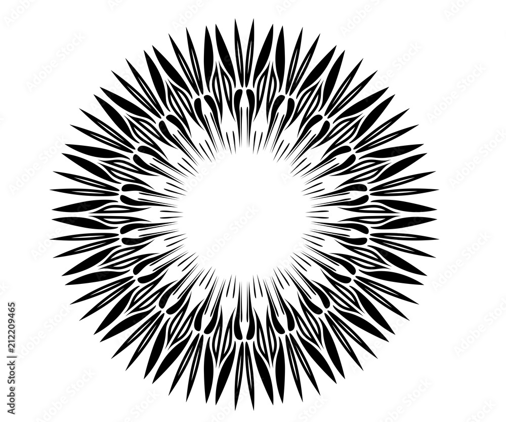 radial motif concentric lines circular design radial motif concentric lines circular design