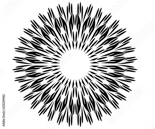 radial motif concentric lines circular design
