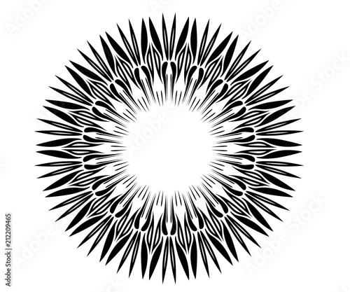 radial motif concentric lines circular design