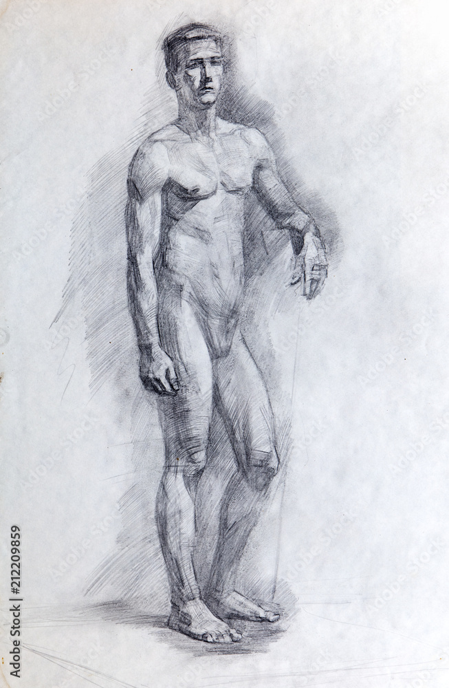 portrait, Pencil drawing, sketch portrait, Pencil drawing, sketch