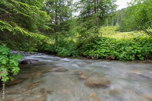 Kleiner Bach in Wiesen und Waldlandschaft