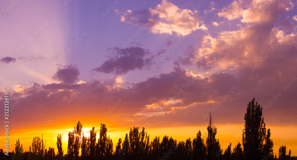 Obraz premium Landscape with dramatic light - beautiful golden sunset with saturated sky and clouds.