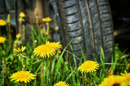 Departure by car in the countryside. Car wheel standing on the green grass with yellow dandelians