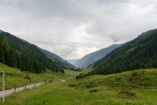 Schotterweg der durch ein weites hügeliges Tal mit Wälder und Wiesen führt © lexpixelart