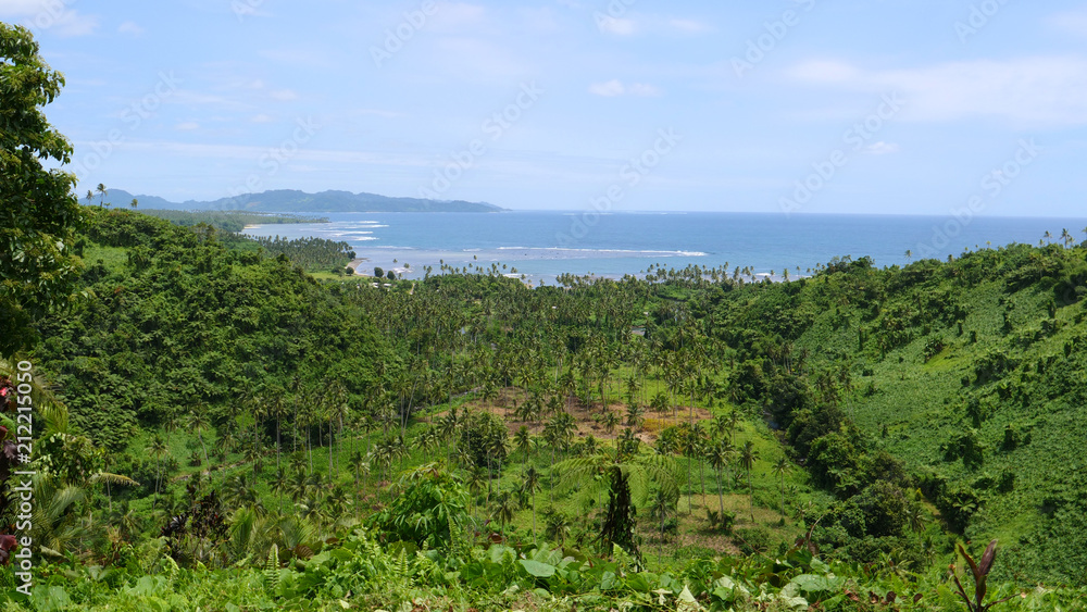 Lush tropical jungle canopies against the clear blue skies in exotic Fiji island