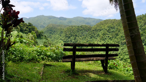 CLOSE UP: Lonely wooden bench looks over the lush green valley and mountains.
