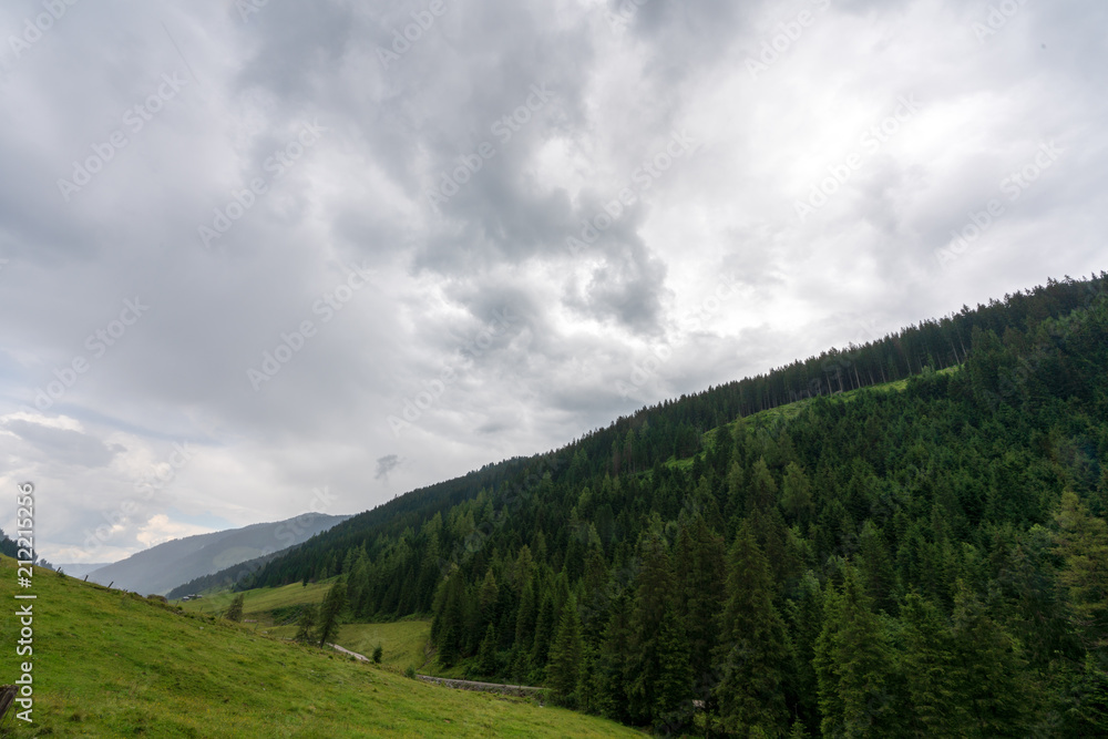 Obraz premium Weite Wiesen und Waldlandschaft