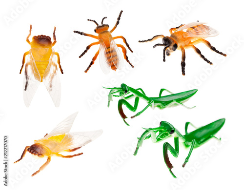 Toys Insects on white background isolated