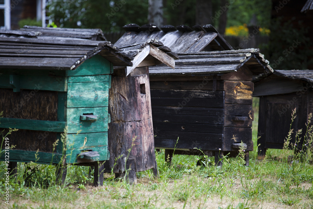 Old wooden beehives stand in a clearing. An apiary in the summer. Old wooden beehives stand in a clearing. An apiary in the summer.