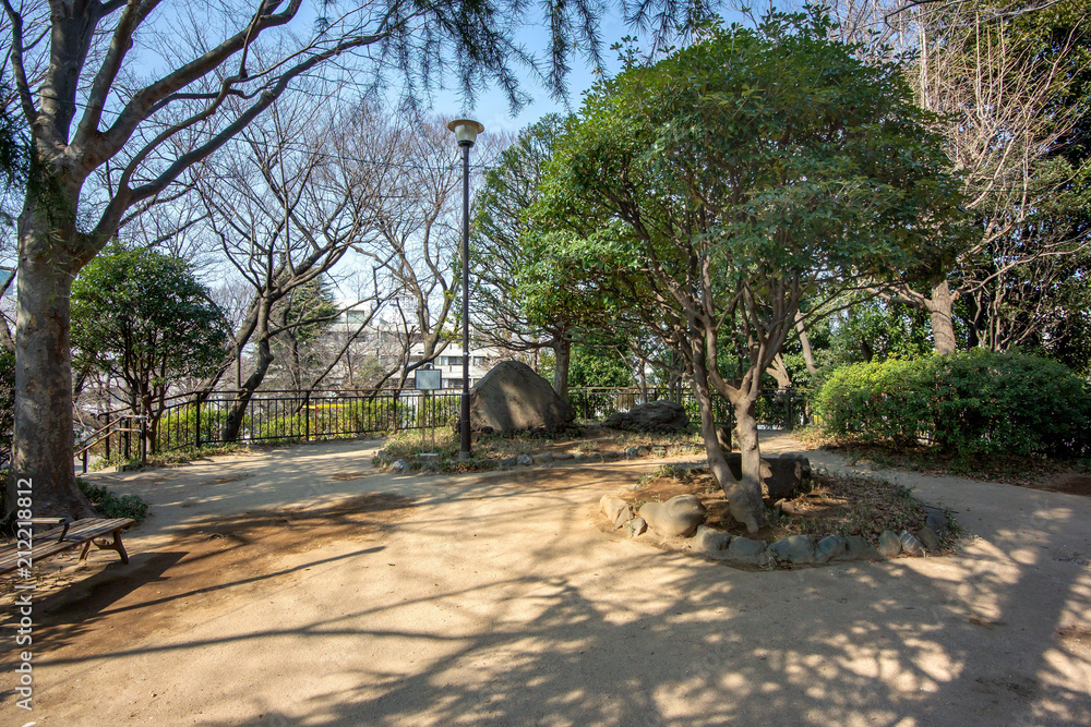 Fototapeta premium 亀塚公園
