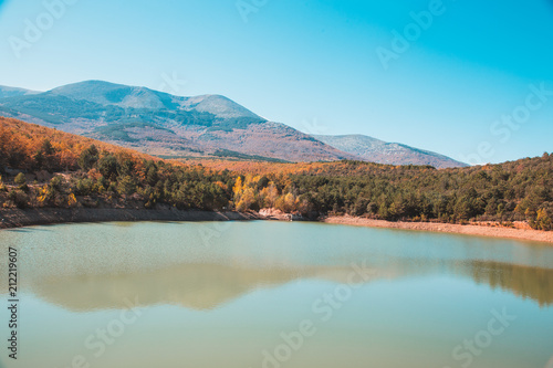 forest in autumn, in monte moncayo in zaragoza spain