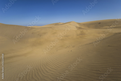 maspalomas dunes  gran canaria  spain - summer evening time  wind is blowing the sand up  sunset and golden hour  dunes  perfect time  end of sunny day