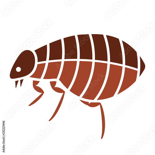 Flea bug icon