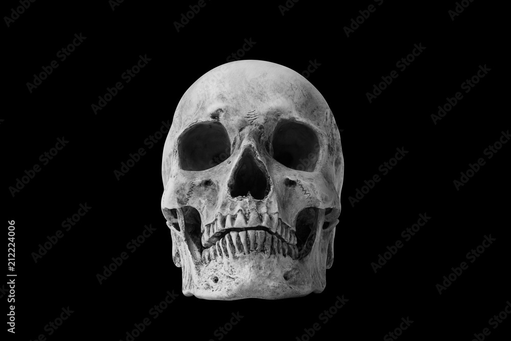 Human skull on black background Human skull on black background