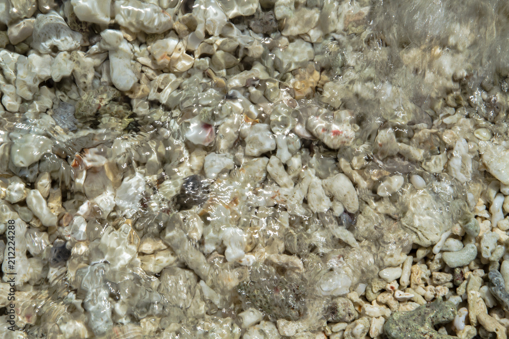 Broken corals under the flowing waves on the beautiful and pristine beach Broken corals under the flowing waves on the beautiful and pristine beach