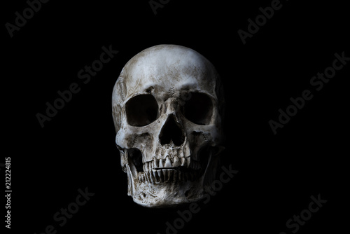 Human skull on black background photo
