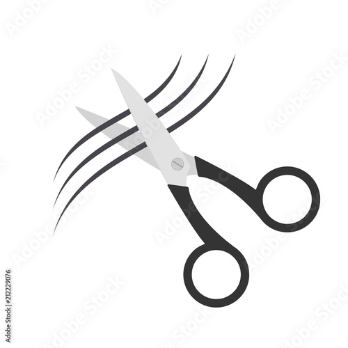 Hair test icon
