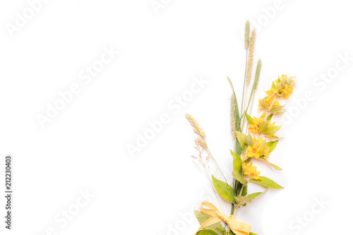 Wildflowers on white background