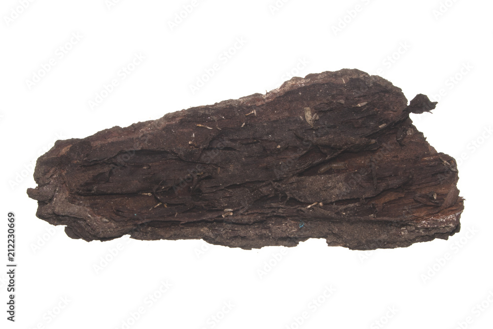 tree bark isolated on white background tree bark isolated on white background
