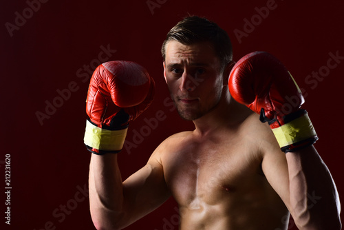 boxer training in boxing gloves. boxer. man boxer with muscular fit body. confident boxer punching at sport workout. man boxing. photo