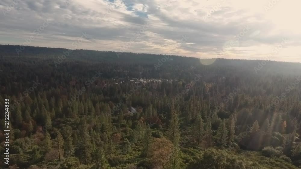 Soaring over the oak, pine, and cedar trees in Grass Valley Soaring over the oak, pine, and cedar trees in Grass Valley