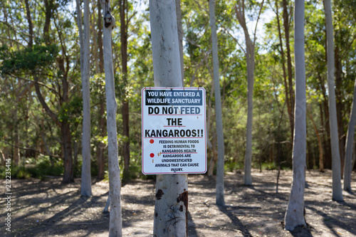 Do not feed the Kangaroos warning sign at Morriset Park in Sydney photo
