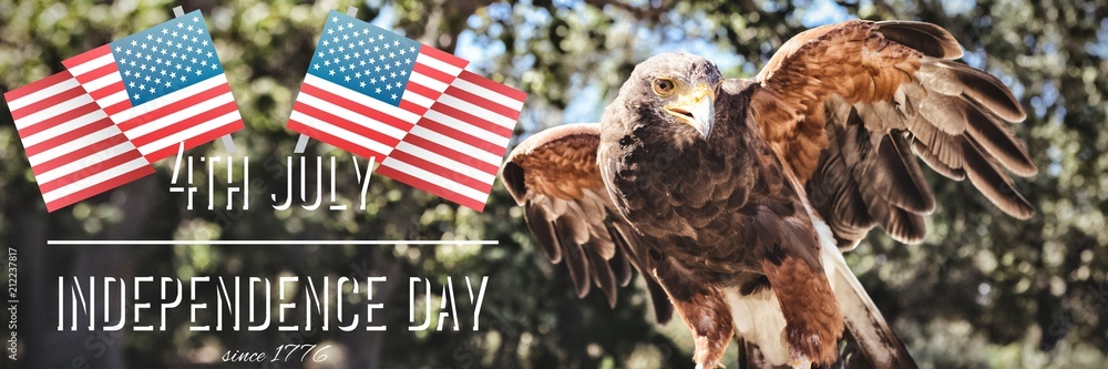 Obraz premium Composite image of independence day graphic