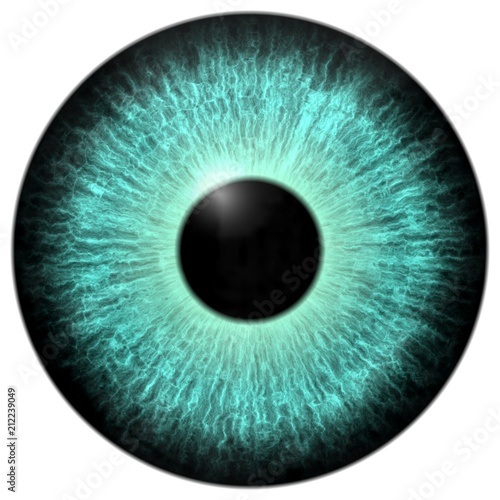 Animal eye with blue color, light blue 3d eyeballs