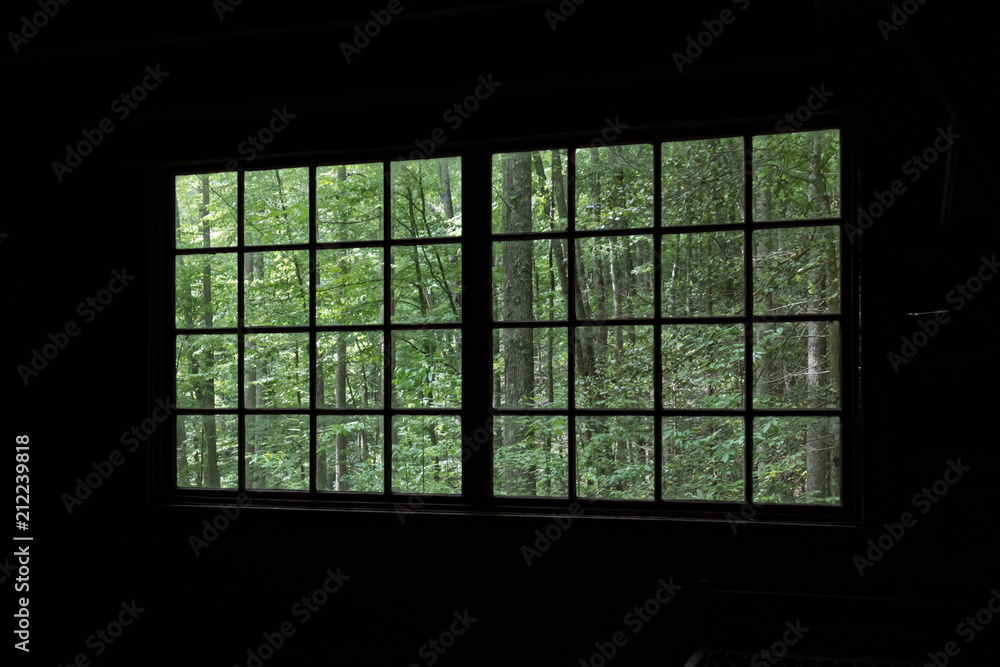 View into the forest thru an old wooden window View into the forest thru an old wooden window