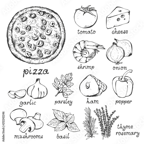 Pizza and ingredients vector set, hand drawn food set isolated on white background: pizza, tomato, cheese, shrimp, onion, garlic, parsley, ham, pepper, champignon, herbs