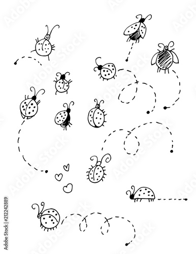 Ladybugs vector set isolated on white background