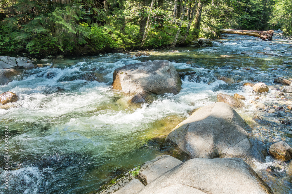 Naklejka premium Scenic Denny Creek 6