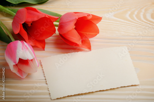 Red and pink tulips and blank greeting card on natural wooden background with space for text