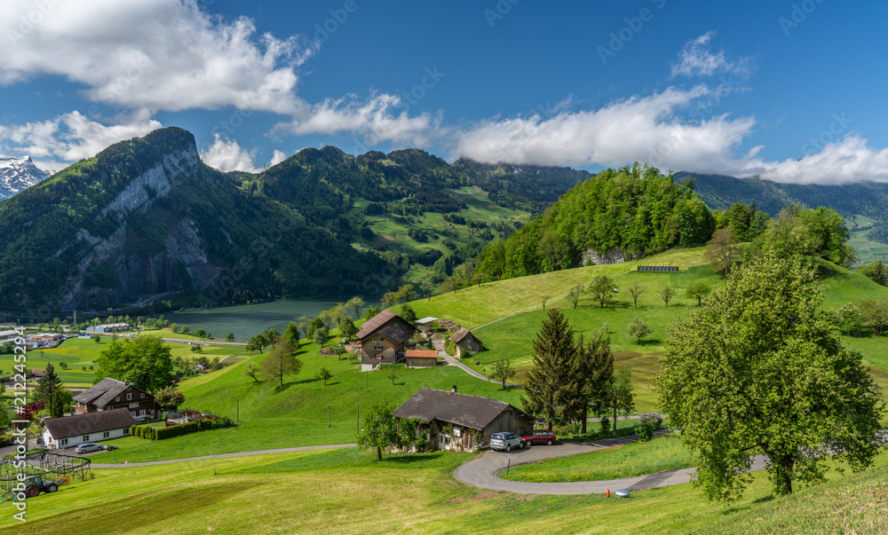 Schwyz valley view