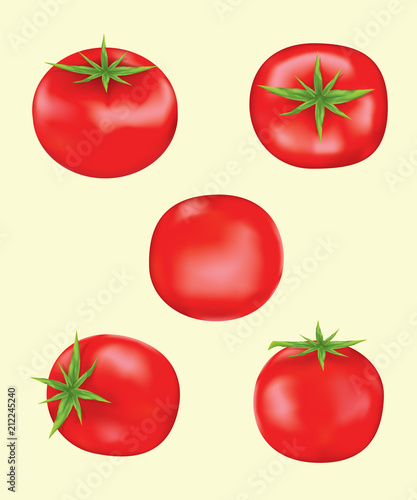 tomatoes vector and illustration