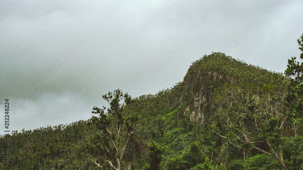 Obraz premium Moody El Yunque Mountain