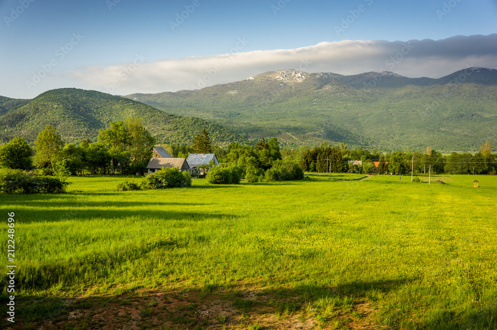 A beautiful meadow in Croatia. View of Dalmatia.