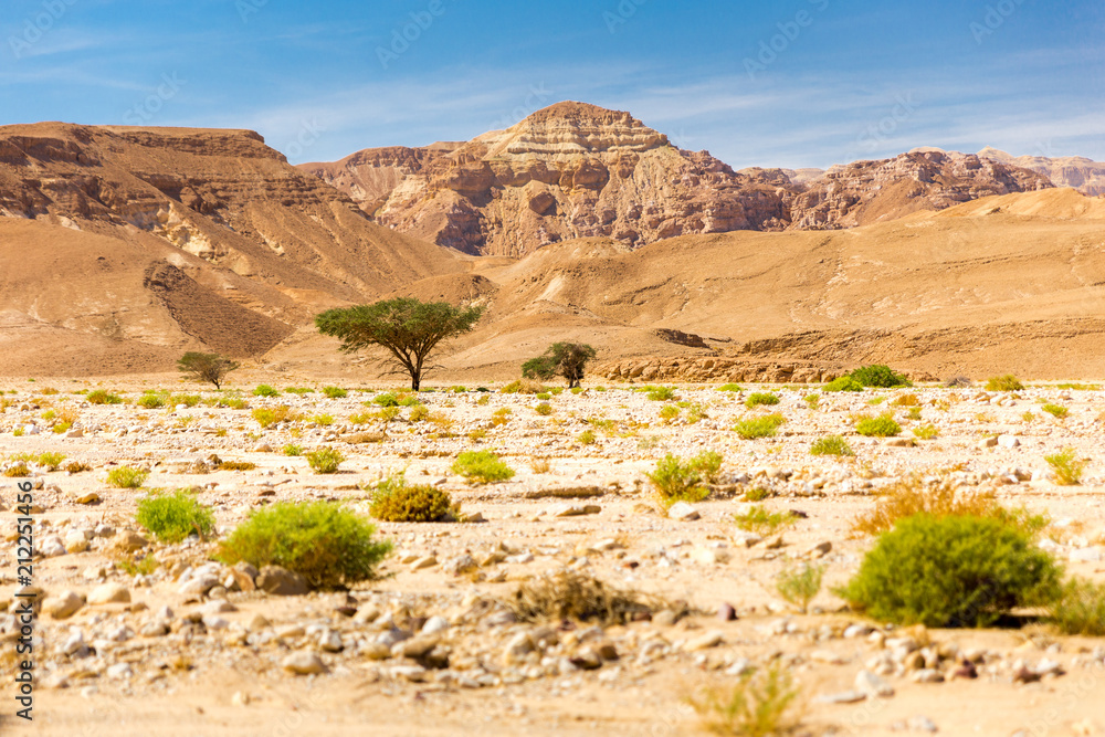 Desert mountain ridge cliffs landscape view, Israel nature. Desert mountain ridge cliffs landscape view, Israel nature.