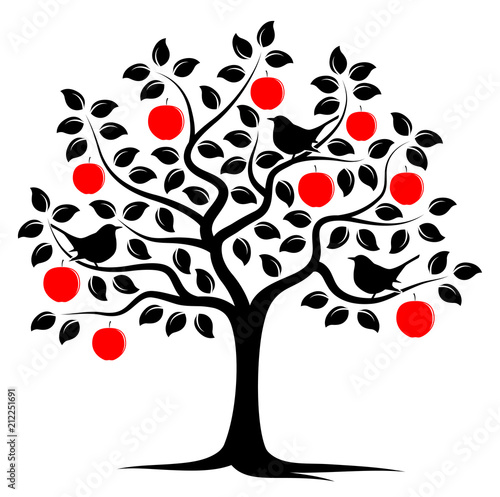apple tree and birds