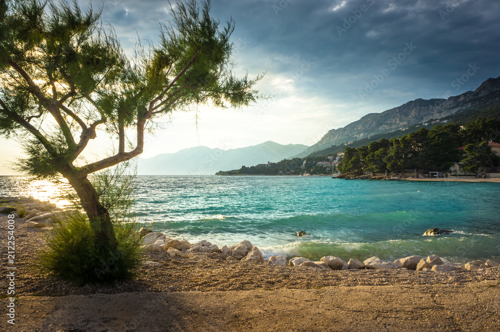 Azure water on the beach in Brela with a tree in the foreground. Dalmatia, Croatia