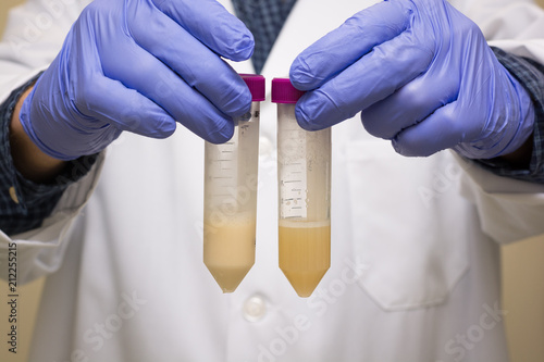 Gloved Hands holding two tubes with liquides that appear slightly different, possibly before and after a reaction.