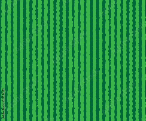 vector seamless pattern of watermelon