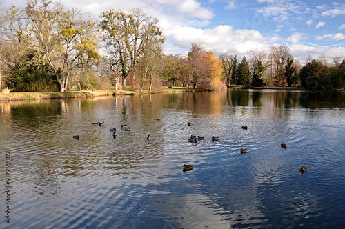 romantic pond and landscape